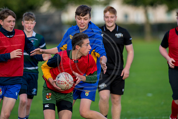 Apex Rugby Academy