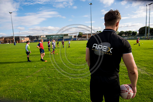 Apex Rugby Academy