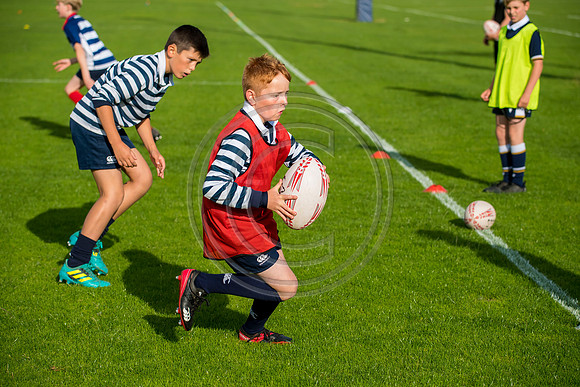 Apex Rugby Academy