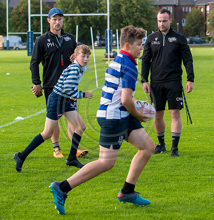 Apex Rugby Academy