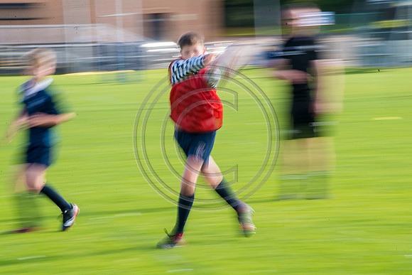 Apex Rugby Academy