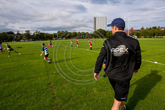 Apex Rugby Academy