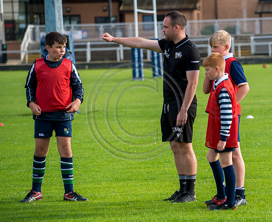 Apex Rugby Academy