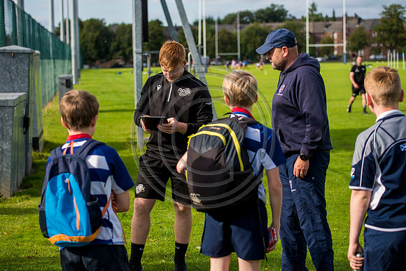 Apex Rugby Academy