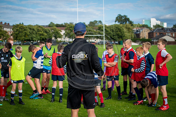 Apex Rugby Academy