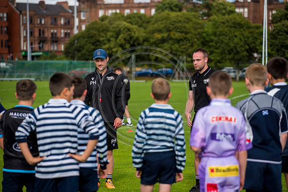 Apex Rugby Academy