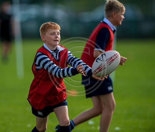 Apex Rugby Academy