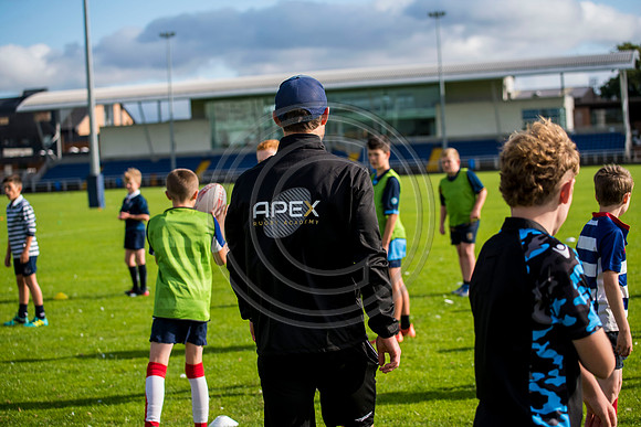 Apex Rugby Academy