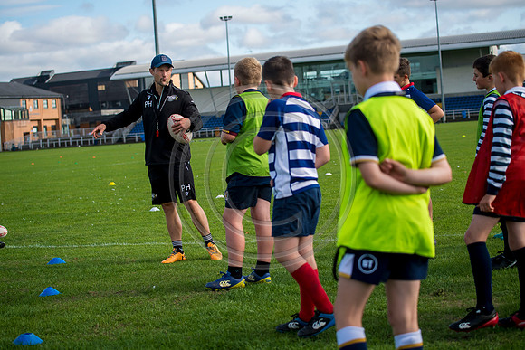Apex Rugby Academy