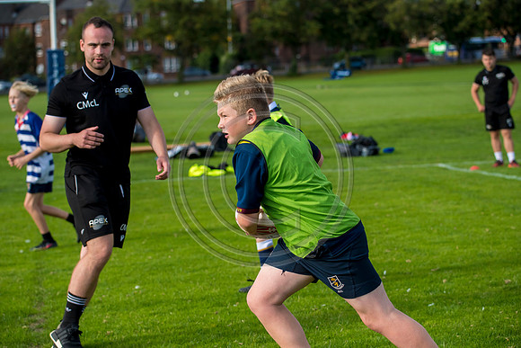 Apex Rugby Academy