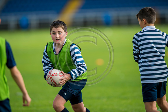 Apex Rugby Academy