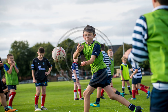 Apex Rugby Academy