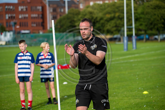 Apex Rugby Academy