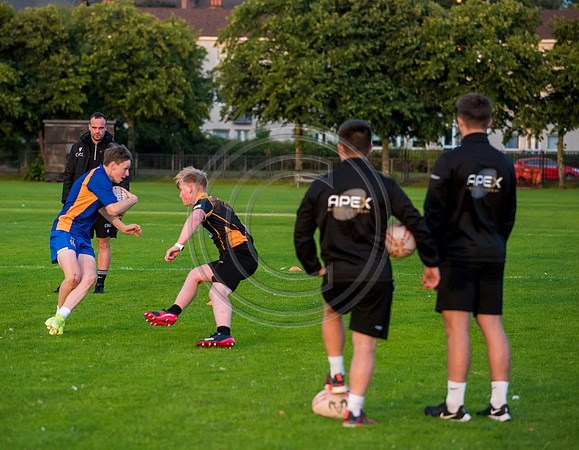 Apex Rugby Academy