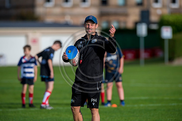 Apex Rugby Academy