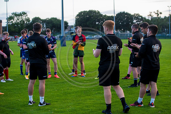Apex Rugby Academy