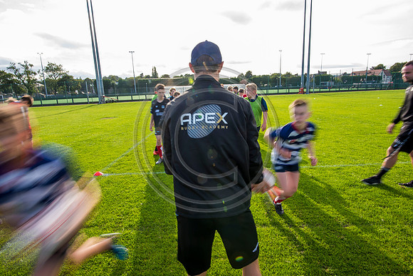 Apex Rugby Academy
