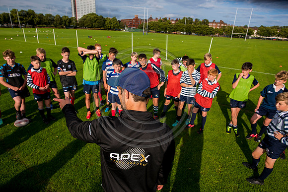 Apex Rugby Academy
