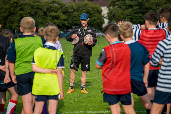 Apex Rugby Academy