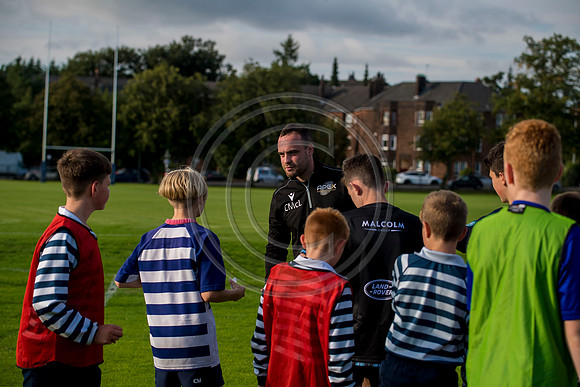 Apex Rugby Academy