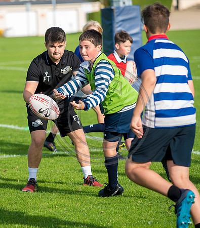 Apex Rugby Academy