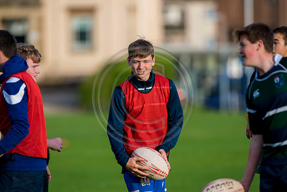 Apex Rugby Academy