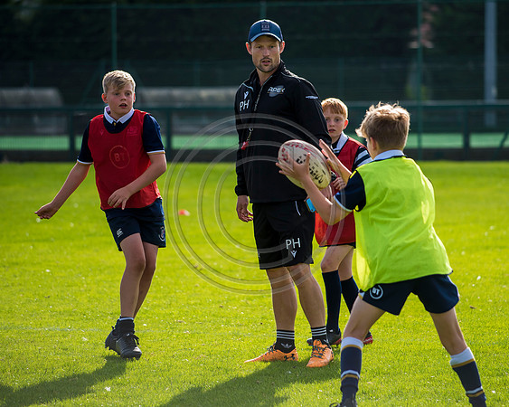 Apex Rugby Academy