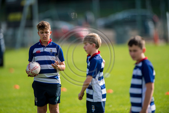 Apex Rugby Academy