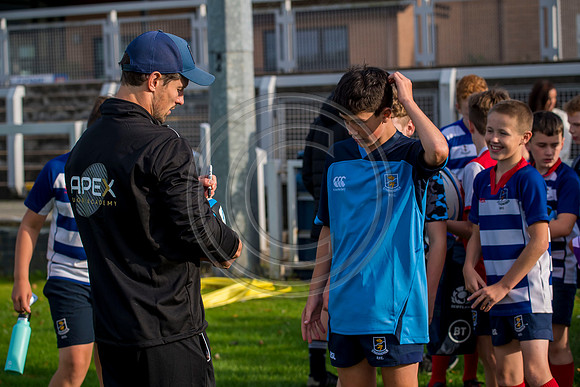 Apex Rugby Academy