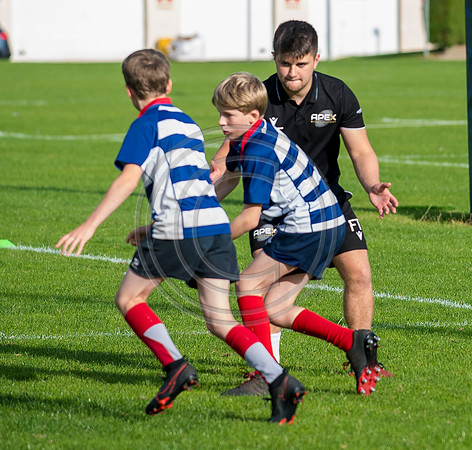 Apex Rugby Academy