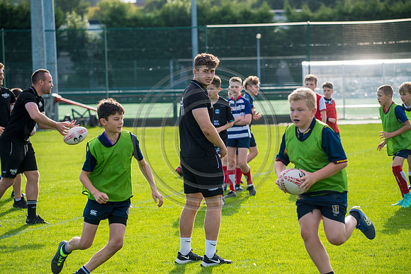 Apex Rugby Academy