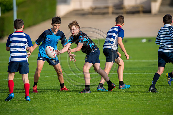 Apex Rugby Academy