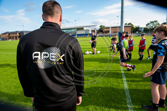 Apex Rugby Academy
