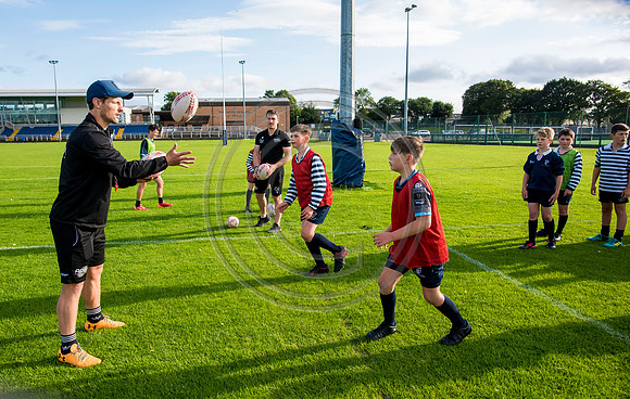 Apex Rugby Academy