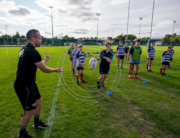Apex Rugby Academy