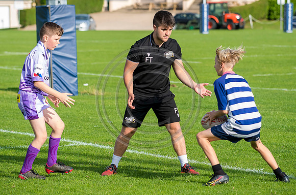 Apex Rugby Academy