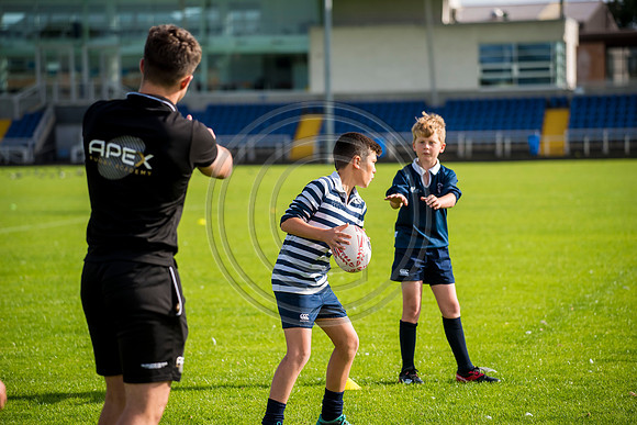 Apex Rugby Academy