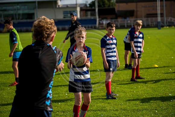 Apex Rugby Academy