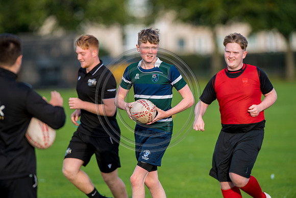 Apex Rugby Academy