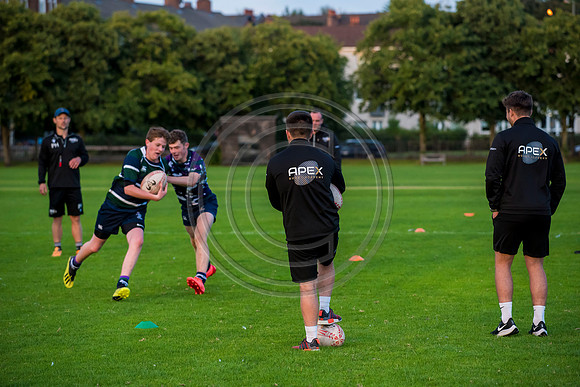 Apex Rugby Academy