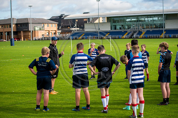 Apex Rugby Academy