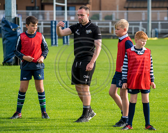 Apex Rugby Academy