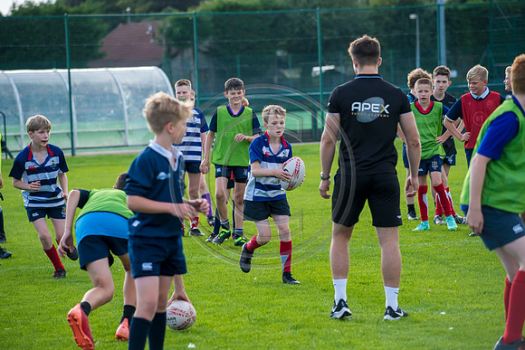 Apex Rugby Academy