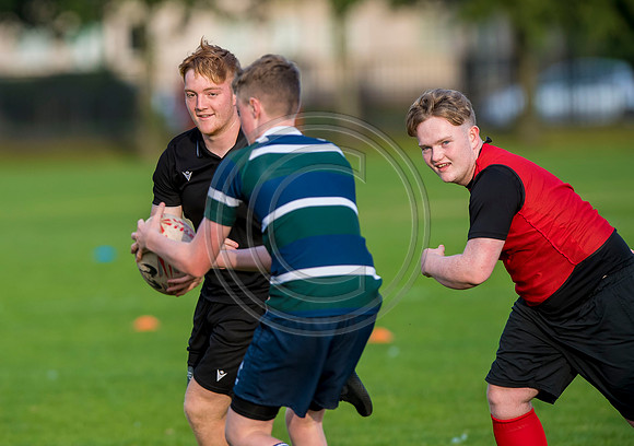 Apex Rugby Academy