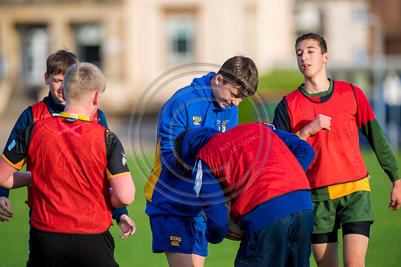 Apex Rugby Academy