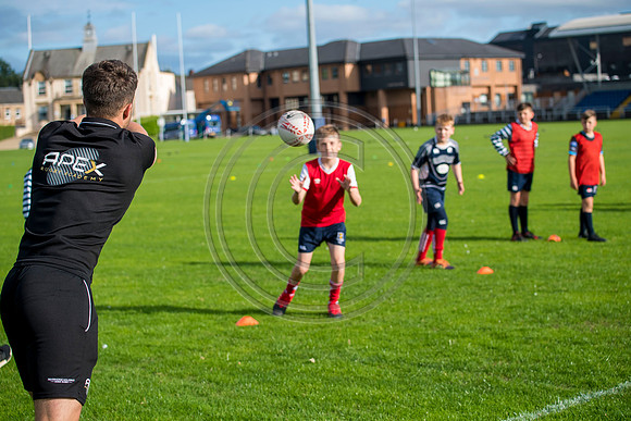Apex Rugby Academy