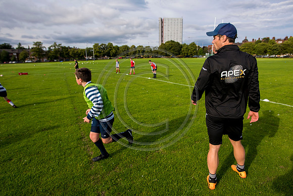 Apex Rugby Academy