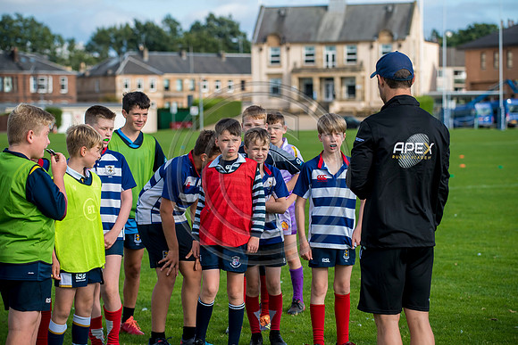 Apex Rugby Academy