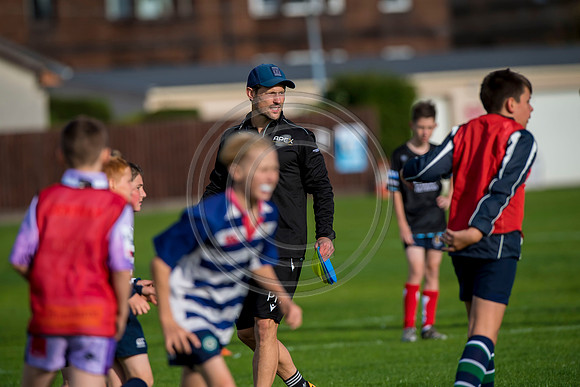 Apex Rugby Academy