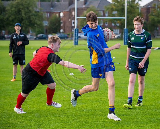 Apex Rugby Academy